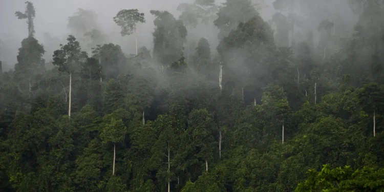 Asian wealth SDG financing potential grows — but philanthropy must evolve to maximize impact