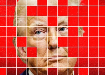 Screenshot of Trump NFT cards displayed on a digital wallet