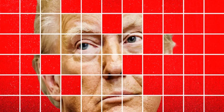 Screenshot of Trump NFT cards displayed on a digital wallet