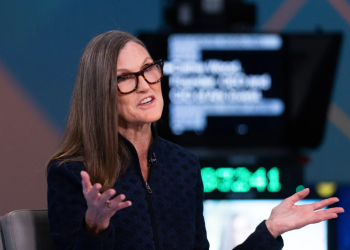 Cathie Wood Says Musk-Trump Feud Highlights His Government Dependence