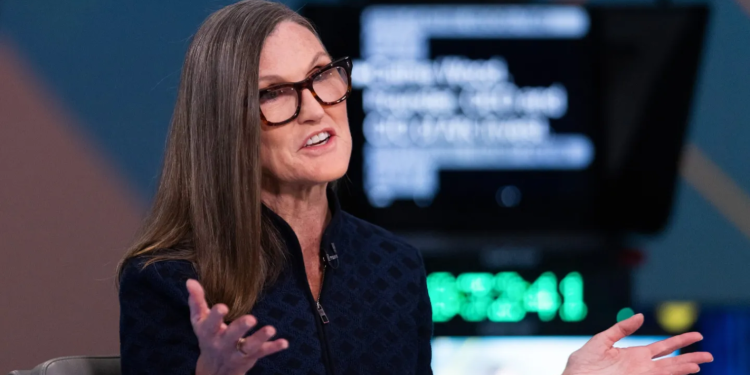 Cathie Wood Says Musk-Trump Feud Highlights His Government Dependence