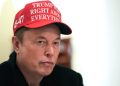 Elon Musk Tells Tesla Analyst Dan Ives to ‘Shut Up’ Amid Boardroom Criticism