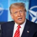 Trumpworld’s Market Mirage: When Optimism Delays Reality