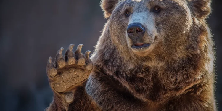 Goldman Sachs Warns Goldilocks Market Faces Shock