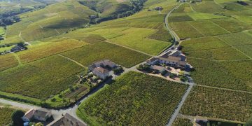 Geoffrey Tassinari Revives a Family Legacy with Domaine des Paquelets