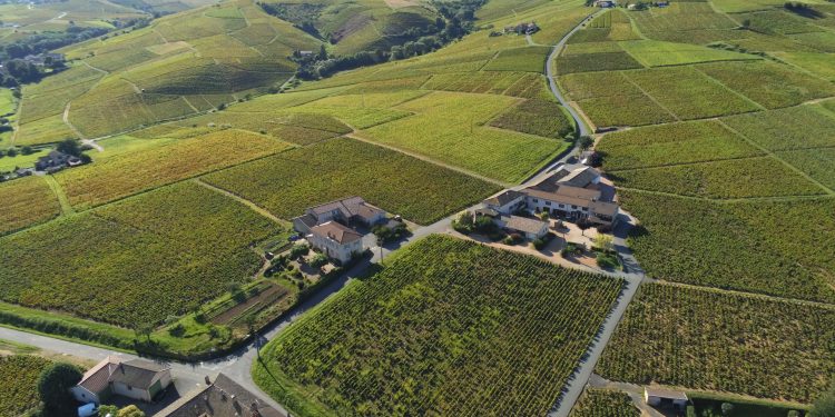 Geoffrey Tassinari Revives a Family Legacy with Domaine des Paquelets