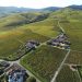 Geoffrey Tassinari Revives a Family Legacy with Domaine des Paquelets