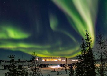 10 Best Wildlife Holiday Destinations Worldwide