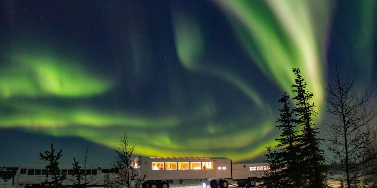 10 Best Wildlife Holiday Destinations Worldwide