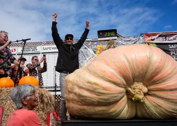 California EV Engineer Wins Big With 2,300-Pound Pumpkin