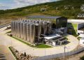 Crina Dulute Champions Romanian Wine With Global Prestige