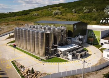 Crina Dulute Champions Romanian Wine With Global Prestige