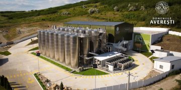 Crina Dulute Champions Romanian Wine With Global Prestige