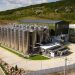 Crina Dulute Champions Romanian Wine With Global Prestige