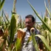 Fertilizer Prices Soar as U.S. Farmers Reconsider Spring Planting Plans