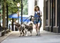 Americans Launch Record Number of New Businesses Amid Cost Pressures
