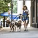 Americans Launch Record Number of New Businesses Amid Cost Pressures