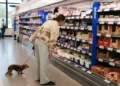 Inflation Jumps as Iran Conflict and AI Demand Push Costs Higher